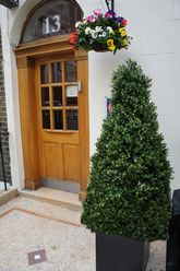 Artificial Boxwood pyramid